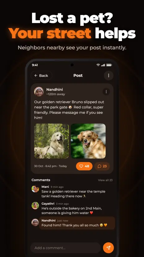 A lost-pet post with neighbours replying in comments